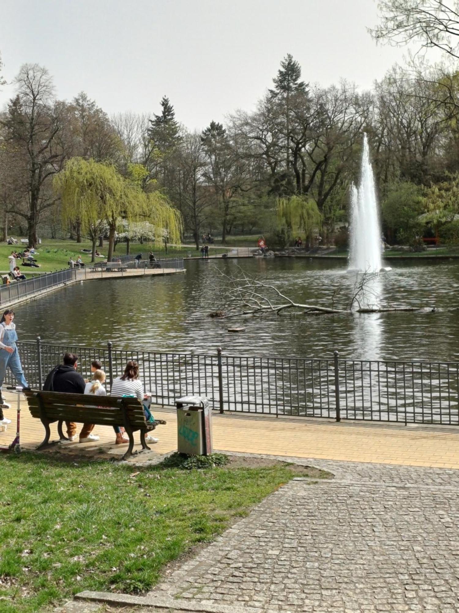 Suite Park & City Alex 4 Rooms 2 Bathrooms 2 Kitchen Berlino Esterno foto